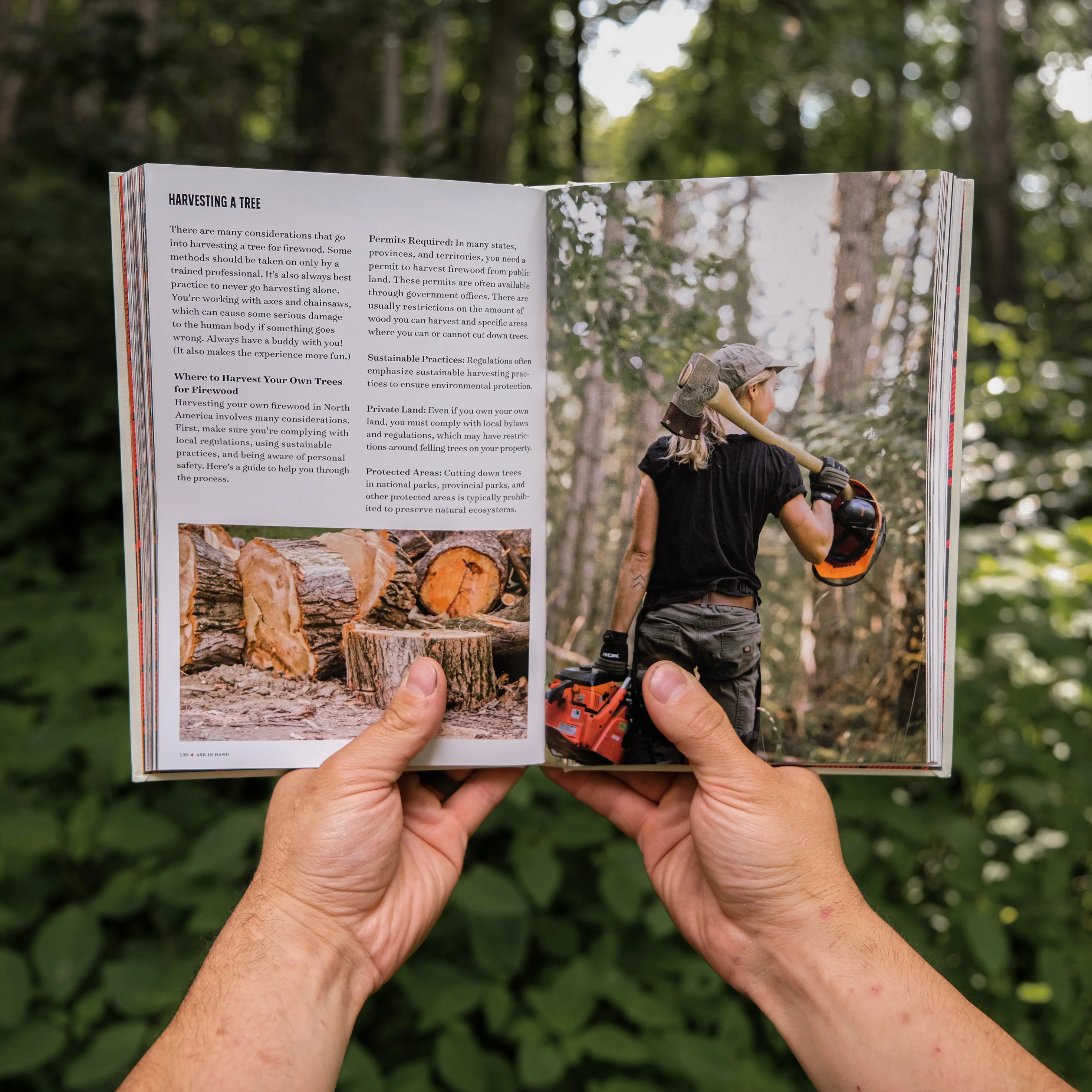 Axe In Hand - Image 3