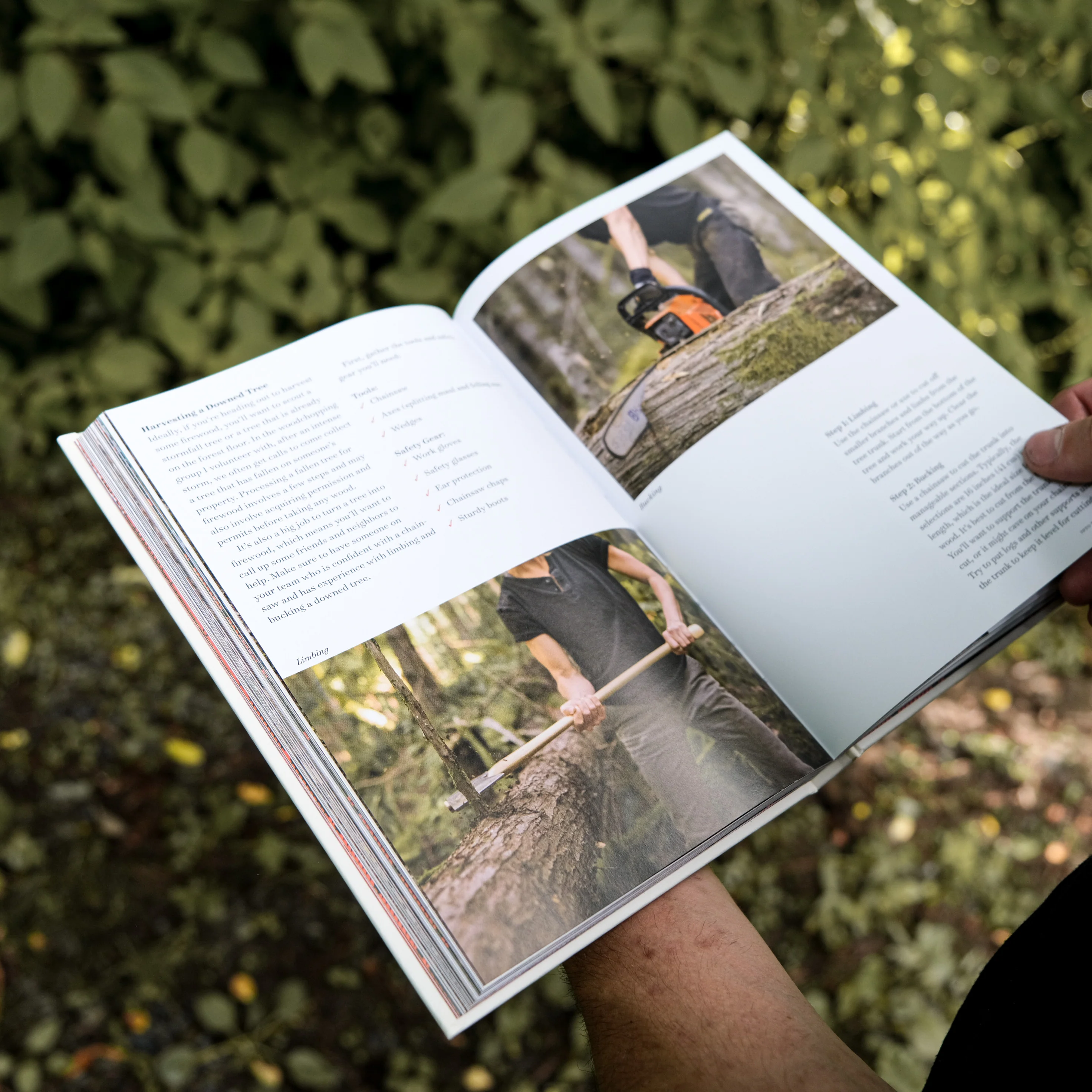 Axe In Hand - Image 4