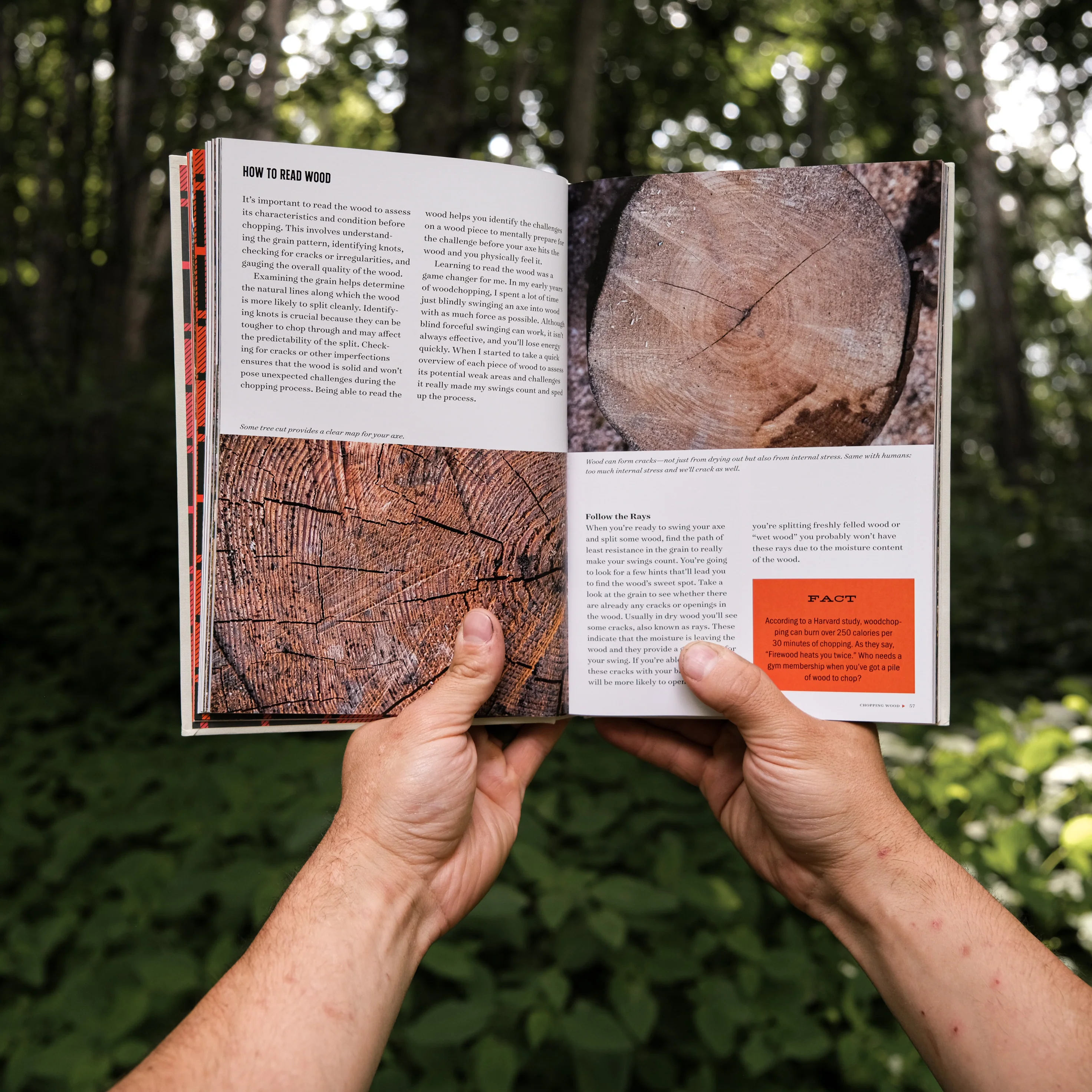 Axe In Hand - Image 7