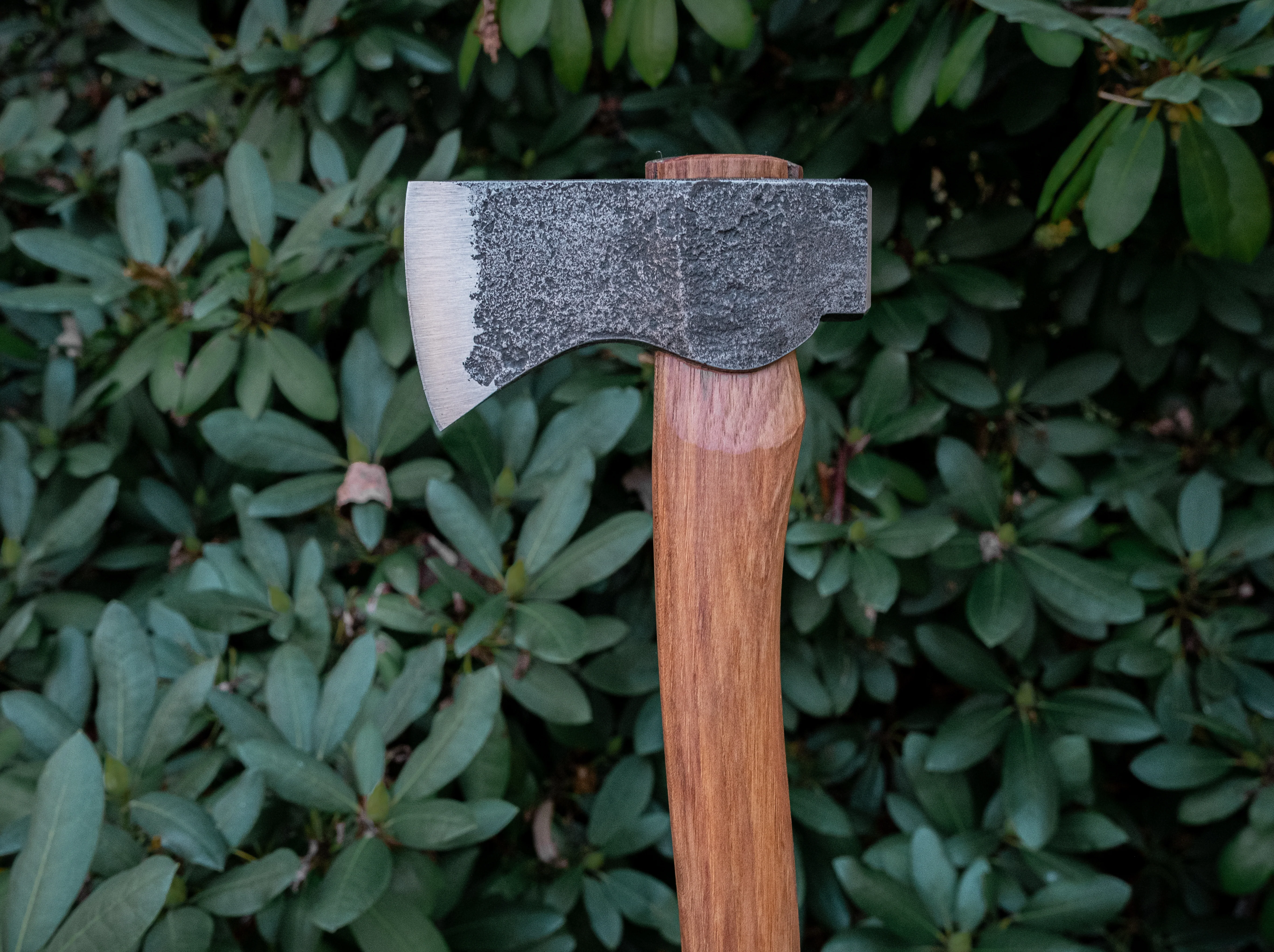 Mini Camper - Image 4