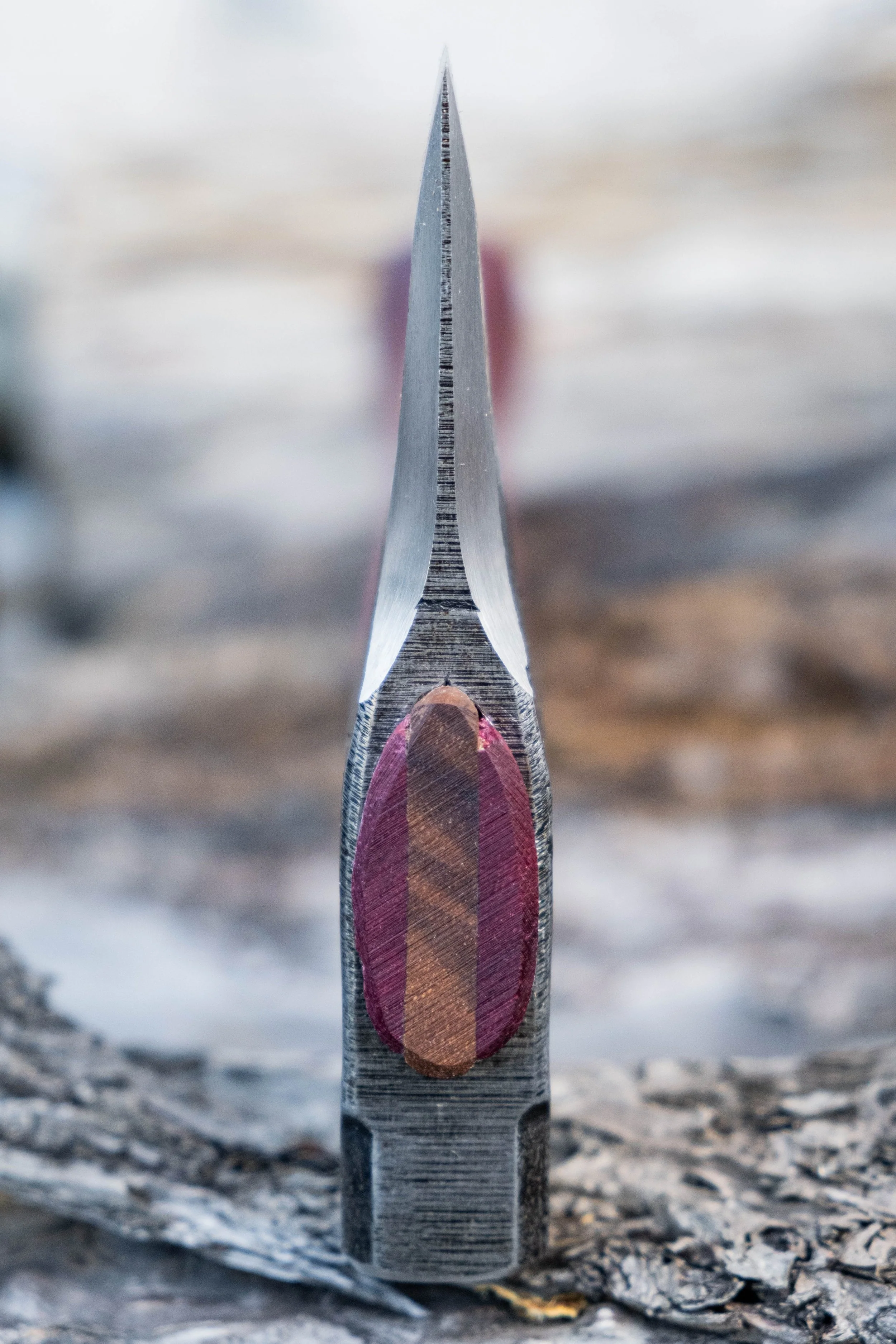 Purpleheart Trapper with Phantom bevels - Image 3