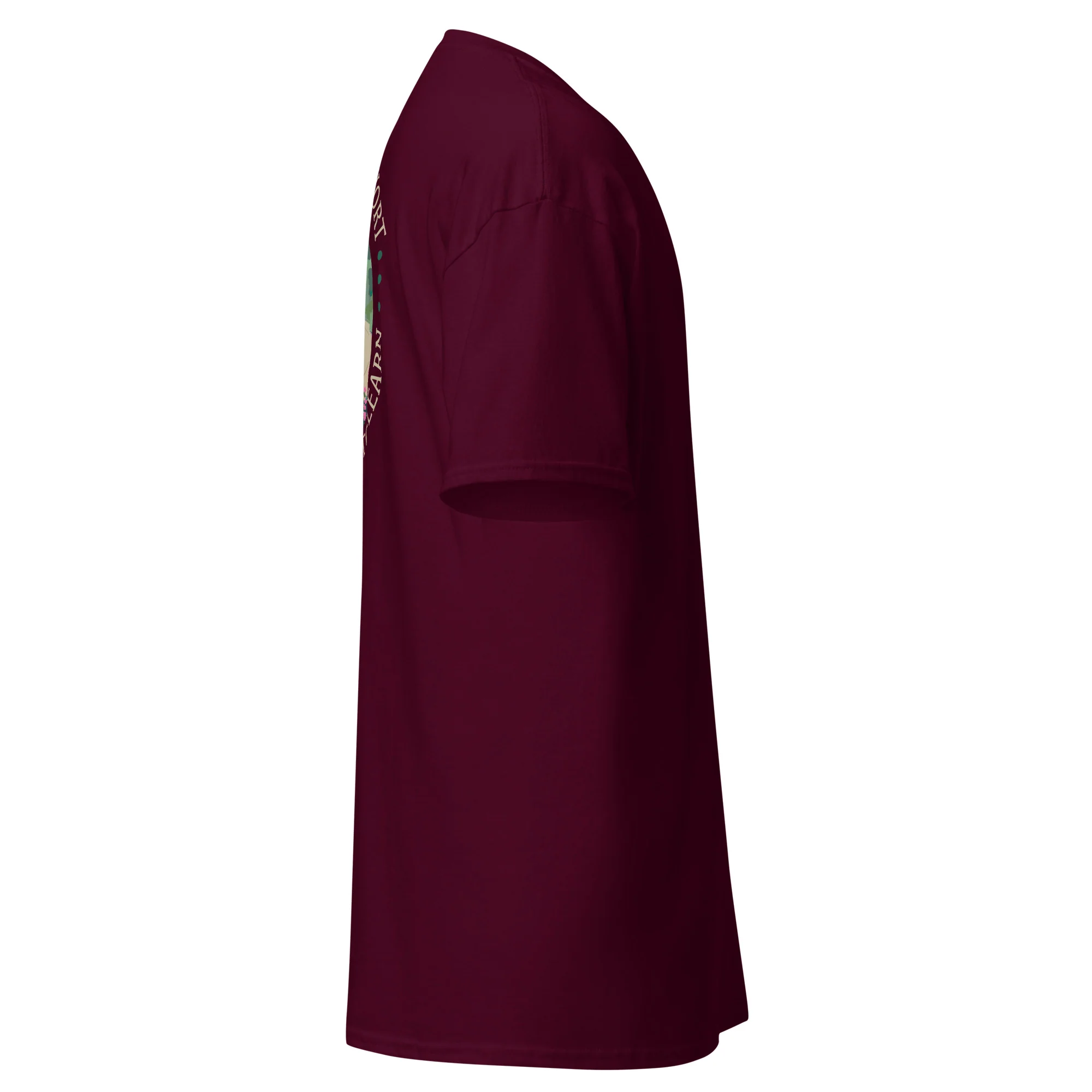 Blue Ridge Parkway Tee - Image 6